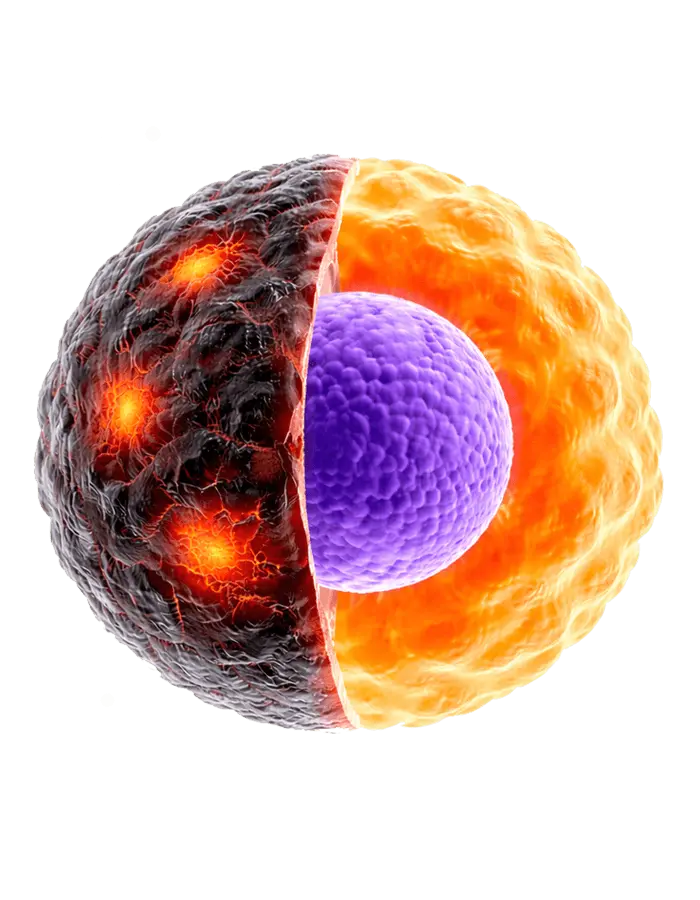 Home Cell Healing Repair Longevity Canada Peptides Sculptide